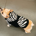 Load image into Gallery viewer, Frenchie Dog Hoodie - Zebra