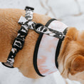 Load image into Gallery viewer, Frenchie Duo Reversible Harness - Earthy Tie Dye
