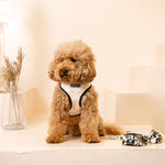 Frenchie Duo Reversible Harness - Earthy Tie Dye