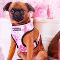 Load image into Gallery viewer, Frenchie Duo Reversible Harness - Pink Tie Dye