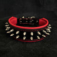 Load image into Gallery viewer, "Frenchie" collar