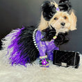 Load image into Gallery viewer, CHEWNEL PLUSH DOG TOY - Southlake Paws