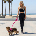 Load image into Gallery viewer, EcoBark Fuchsia Step In Dog Harness - Reflective Soft Mesh Harness for Teacup, Small Dogs and Puppies / Fuchsia Sport