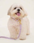 Load image into Gallery viewer, Wander! Waterproof Collar - Lilac