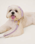 Load image into Gallery viewer, Wander! Waterproof Collar - Lilac