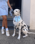 Load image into Gallery viewer, Wander! Multiway Leash - Sky