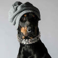 Load image into Gallery viewer, The "Metal" collar- personalized!