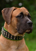 Load image into Gallery viewer, The "Stud" dog collar
