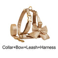 Load image into Gallery viewer, Gold Satin Wedding Set