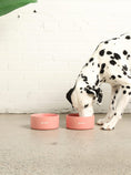 Load image into Gallery viewer, Ceramic Dog Bowl - Southlake Paws