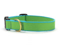 Load image into Gallery viewer, Color Market Dog Collar - Wide