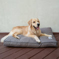 Load image into Gallery viewer, GreenDog Napper- Luxe Neutral - Dog Bed