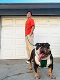 Load image into Gallery viewer, Kismet Dog Leash - Southlake Paws