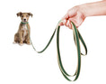 Load image into Gallery viewer, Up Country Color Market Training Cast Brass Pet Accessory