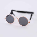Load image into Gallery viewer, Hello Doggie Dog Sunglasses pet sunglasses