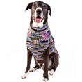 Load image into Gallery viewer, Purple Woodstock Dog Sweater