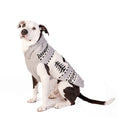 Load image into Gallery viewer, Reindeer Shawl Dog Sweater