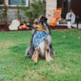 Load image into Gallery viewer, Bluey Boos Dog Bandana