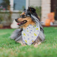 Load image into Gallery viewer, Batty Buds Dog Bandana
