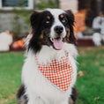 Load image into Gallery viewer, Rusted Check Dog Bandana