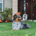 Load image into Gallery viewer, Big Tex Dog Bandana in Blue x Studio Orch Collaboration Collection