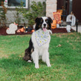 Load image into Gallery viewer, Batty Buds Dog Bandana