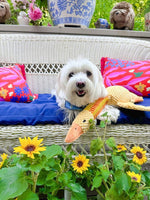 DUCK NECK INTERACTIVE DOG TOY