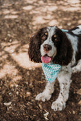 Load image into Gallery viewer, Dorothy's Picnic Dog Bandana