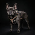 Load image into Gallery viewer, The Leopard Harness Small to Medium Size