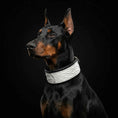 Load image into Gallery viewer, The ''Dragon Scale'' LIMITED collar exclusive design