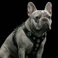 Load image into Gallery viewer, The ''Bijou'' harness Black & Green Small to Medium Size
