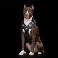 Load image into Gallery viewer, The "Eros" all Black Harness