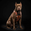 Load image into Gallery viewer, Bestia ''Bowtie'' leather harness