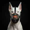 Load image into Gallery viewer, 'Eros'' Basket Muzzle black & orange