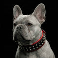 Load image into Gallery viewer, "Rocky" collar