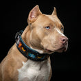 Load image into Gallery viewer, The Fire & Ash Limited Collar