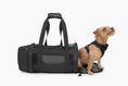 Load image into Gallery viewer, Travel Buddy - Pet Carrier - Southlake Paws