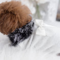 Load image into Gallery viewer, High Society Dog Sweater