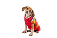 Load image into Gallery viewer, Jolly Red Dog Sweater