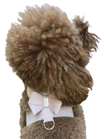 Hollywood Bow Dog Harness, Light Rose