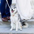 Load image into Gallery viewer, Wedding White Lace Set