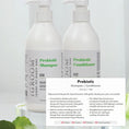 Load image into Gallery viewer, Prebiotic Conditioner 16oz by iGroom