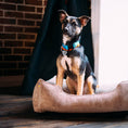 Load image into Gallery viewer, Corduroy Dog Bed Dreamer - Southlake Paws