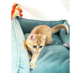 Load image into Gallery viewer, Velvet Cat Bed Dreamer - Southlake Paws