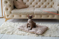 Load image into Gallery viewer, Tomas Pillow for Cats - Southlake Paws