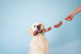 Load image into Gallery viewer, Pet Toy - Long Sausages - Southlake Paws