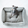 Load image into Gallery viewer, Velvet Dog Bed Dreamer - Southlake Paws