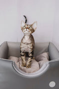 Load image into Gallery viewer, Cabrio Convertible Cat Bed - Southlake Paws