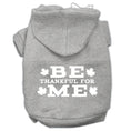 Load image into Gallery viewer, Thanksgiving Pet Dog & Cat Hoodie Screen Printed, "Be Thankful for Me"