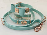 Leather Bow Collar/Lead - Aquamarine